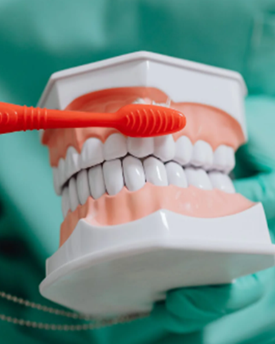 Nelank Dental Service - General Dentistry